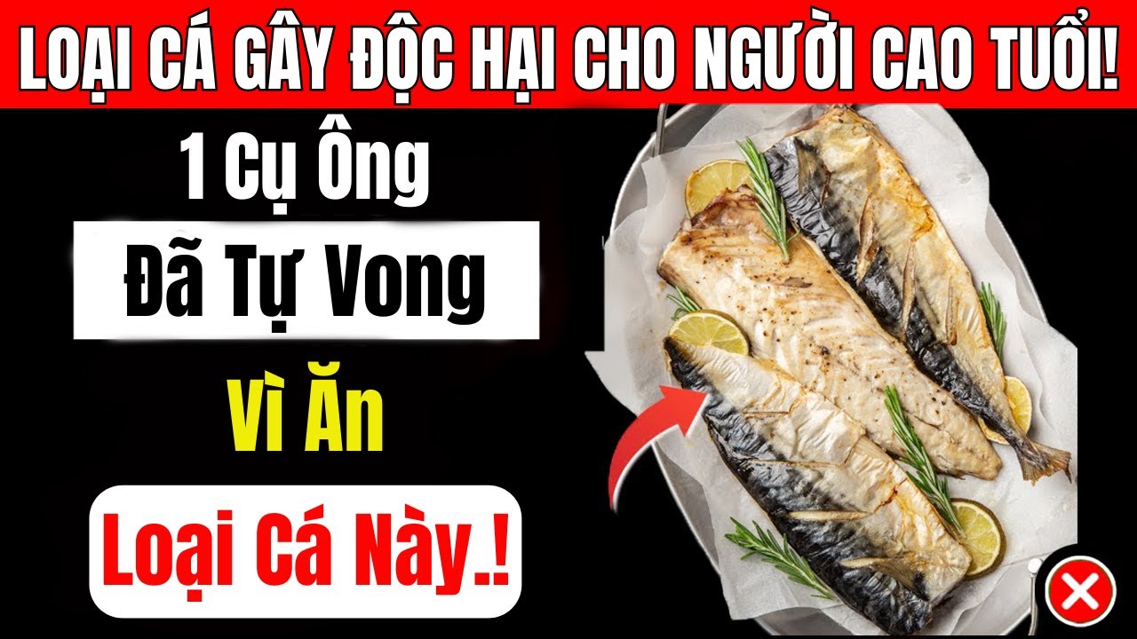 Người Cao Tuổi: 4 Loại Cá Tuyệt Đối Không Nên Ăn, Và 3 Loại Cá Cần Bổ Sung Hằng Ngày!