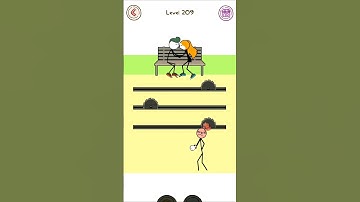 Thief Puzzle level 209