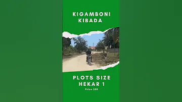 PLOTS FOR SALE KIGAMBONI 𝗞𝗜𝗕𝗔𝗗𝗔 PLOT SIZE HEKAR 1 