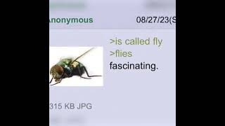 ANON MAKES A REALIZATION