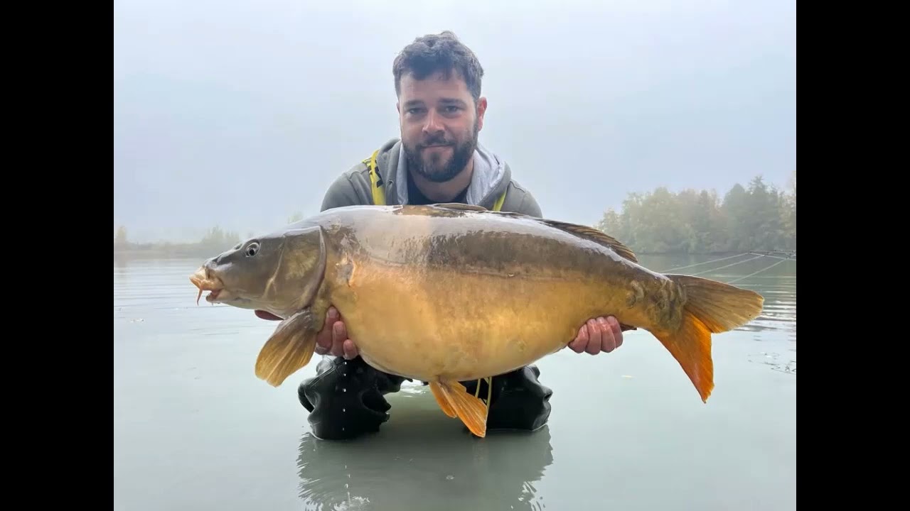 Our week at Jurassik Carpe