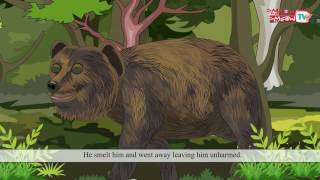 The Bear And The Two Friends - Meow Meow TV