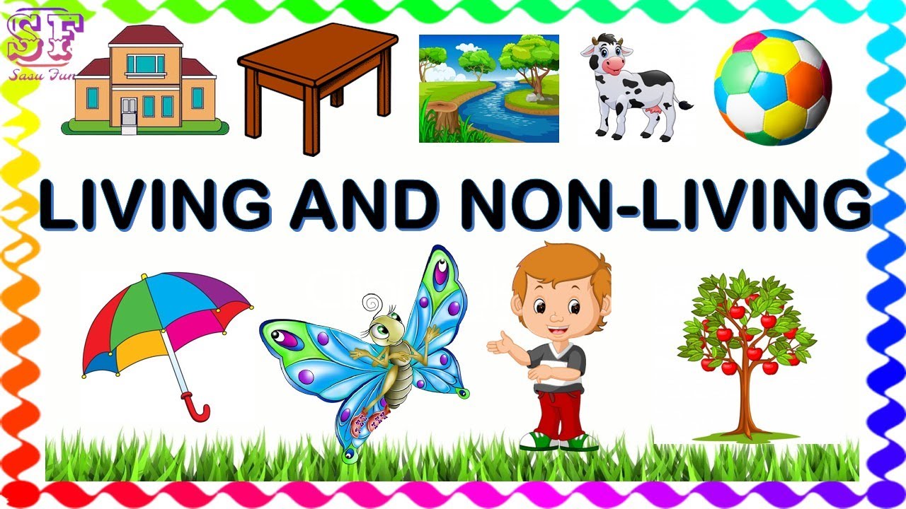 Living Things And Nonliving Things Living And Non Liv