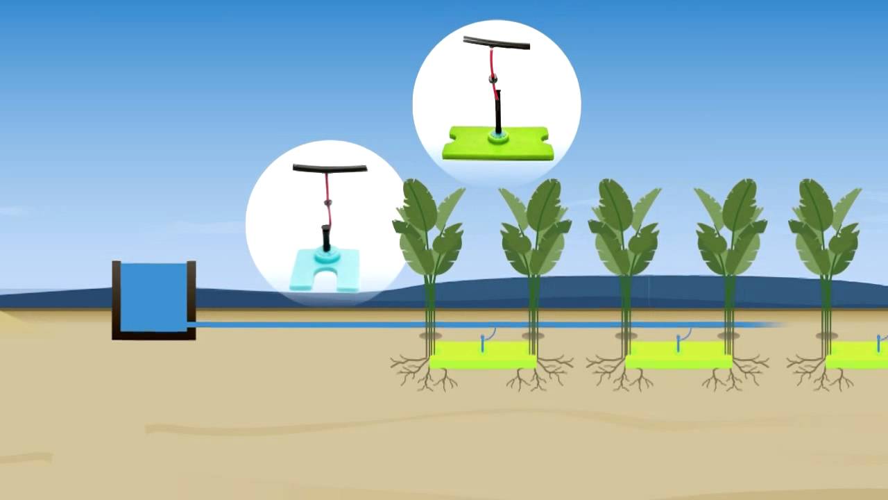 Diffuseurs d'eau - Tunisie - 100 innovations pour un développement durable pour l'Afrique ministère de la santé