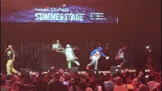 Nice & Smooth - Full Set (Live) Hip-Hop 50th Concert