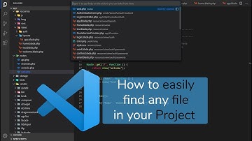 How To Search Any File In Your Laravel Project