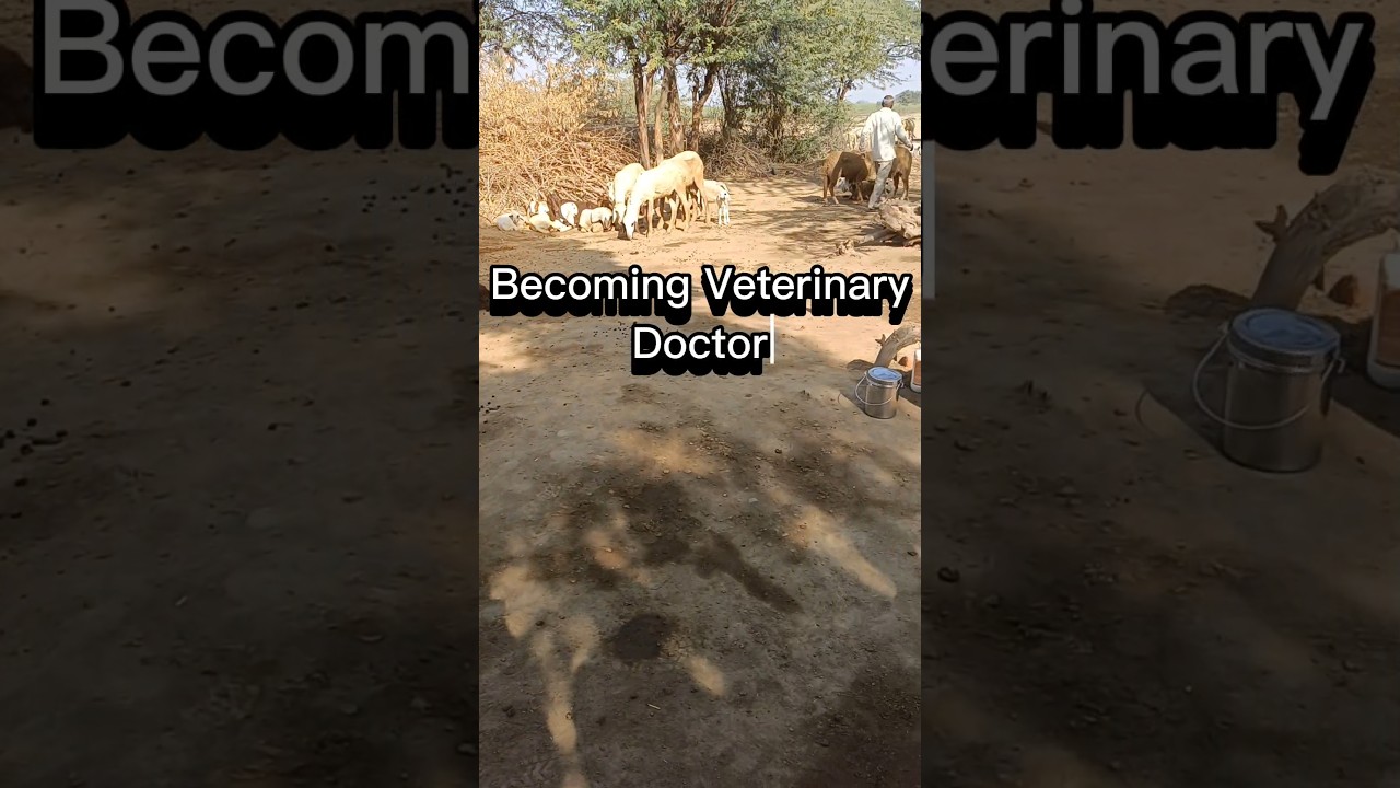 Are You Agree ?? 🤔