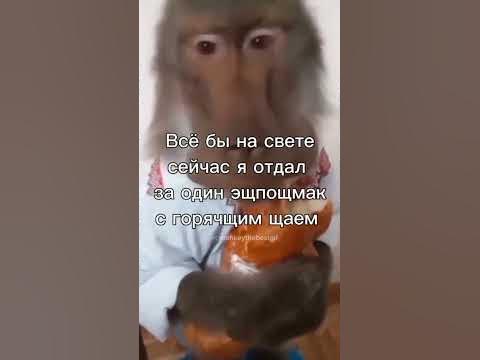 ЭЧПОЧМАК С ГОРЯЧИМ ЧАЕМ(Видео не моё) - YouTube