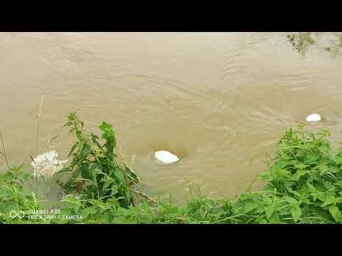 Video: Povodně - Kolik Jich Tam Bylo? Smrt Praktizací - Alternativní Pohled