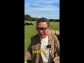 14 программ обучения в Oxford International College Brighton 🎓