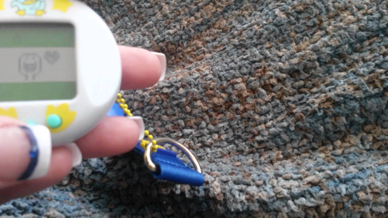 Virtual pet duck tamakaci