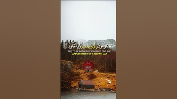 #آيات #القرآن_الكريم #راحة_نفسية #اكسبلور #ايات_قرانيه_قصيره #لايك #دويتو #duet #حالات_واتس