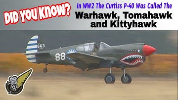 This Trio of WW2 P-40 