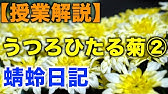 授業解説 ざっくり古文 蜻蛉日記編 うつろひたる菊 嘆きつつ一人寝る夜 Youtube 授業解説 ざっくり古文 蜻蛉日記編 うつろひたる菊 嘆きつつ一人寝る夜 Youtube