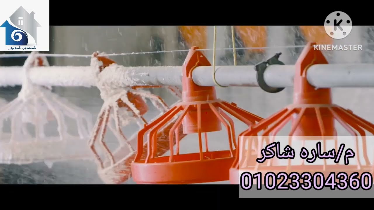 طرق التطهير فى عنابر الدواجن؟؟!! ومواصفات المطهر المناسب ؟؟ وبعض انواع المطهرات المستخدمه؟؟(م/ساره)