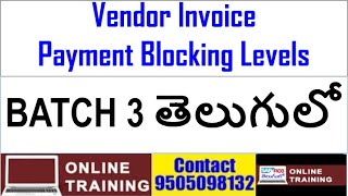 SAP FICO బ్యాచ్ -3|| తెలుగులో|| Vendor Invoice Blocking Levels|| Payment Block Invoices||  తెలుగులో