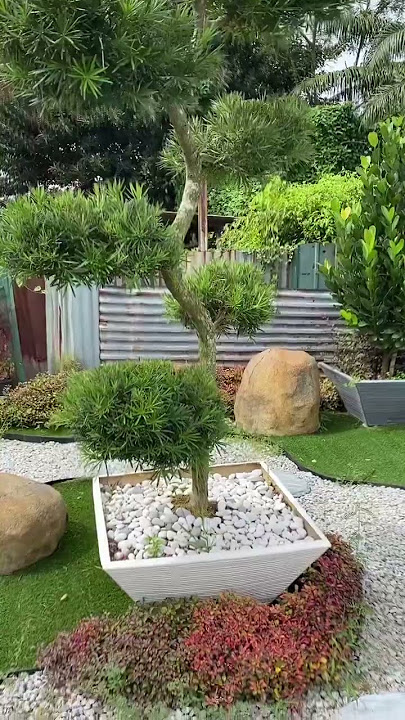 Pasu Bunga Modern di Malaysia | Konzept Garden