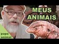 PAPO ANIMAL #1 - QUEM SÃO OS ANIMAIS DE SERGIO RANGEL?