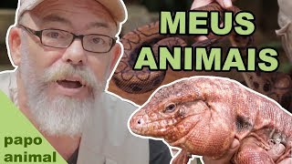 PAPO ANIMAL #1 - QUEM SÃO OS ANIMAIS DE SERGIO RANGEL?