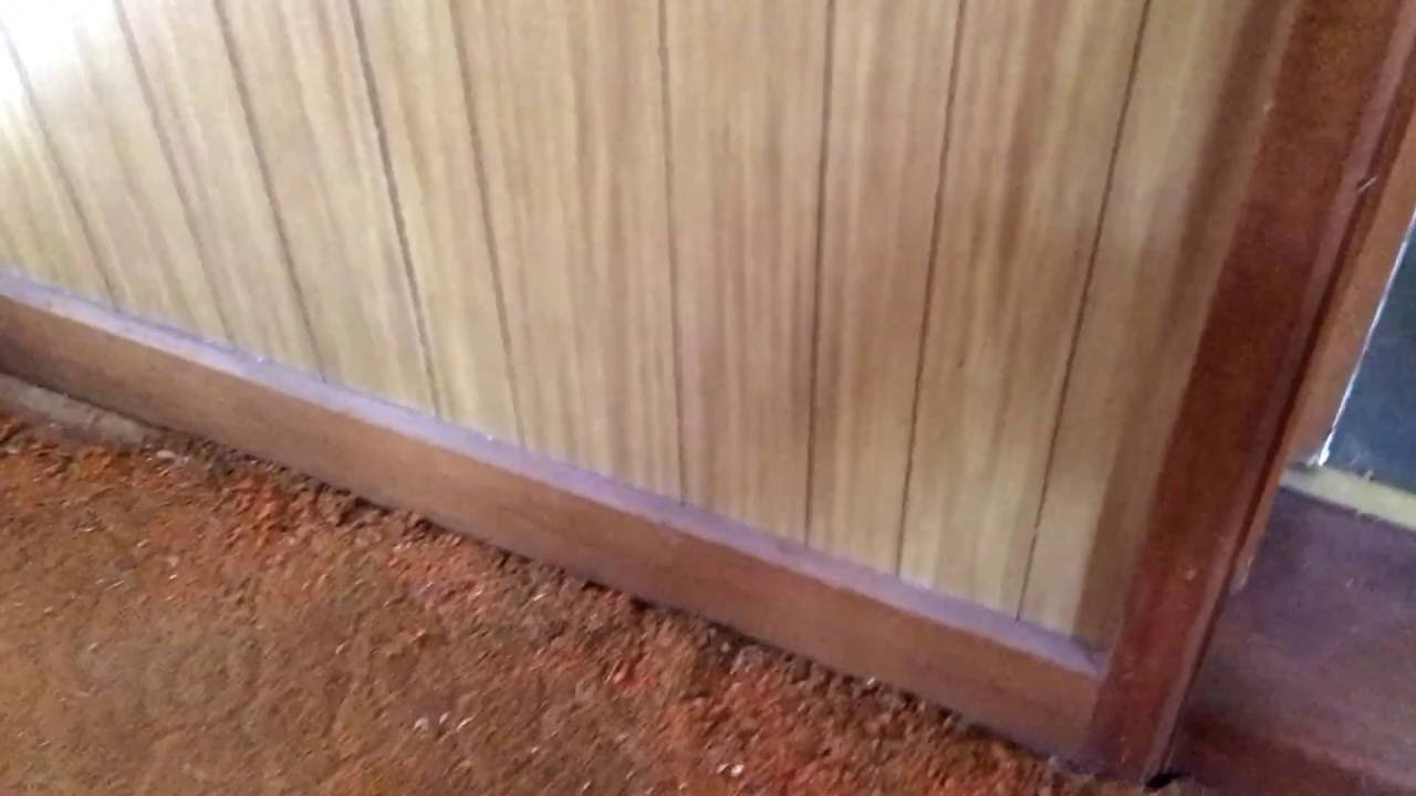 Pre Purchase Building and Pest Inspection at Kidman Park in Adelaide