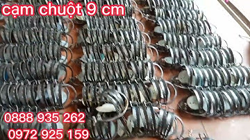 cạm bẫy chuột giá rẻ 8k 1, chiếc LH