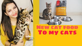 New cat food for my cats|orijen cat food review| cat food |persian cat bengal cat food