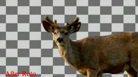 Rotoscoping demo reel