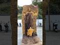 ✨🙏 Breathtaking Buddha Tree Trunk Carving 🌳 #buddha #wood #home decor #workout #viral video#art