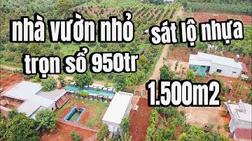 chị 2 thắm nợ ngân hàng không có tiền đáo hạng, bán luôn mảnh đất sát lộ nhựa