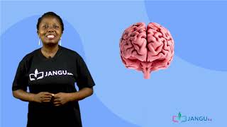 Jss2 Basic science Living Things Part 4