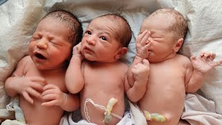 Triplets Newborn babies immediately after birth with First Cry || middle one is so surprised ❤️