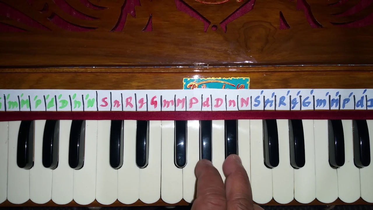 Ni76 - Hare Krishna - Damodar Vyas Prabhu - Iskcon Vrindavan