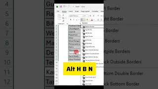 ✅ Excel All Border Remove Shortcut key #excel #excelformula #exceltips #dataanlysis