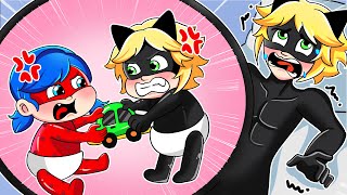 Catnoir Pregnant??! - Miraculous LadyBug Brewing Cute Baby Factory! - Miraculous Animation