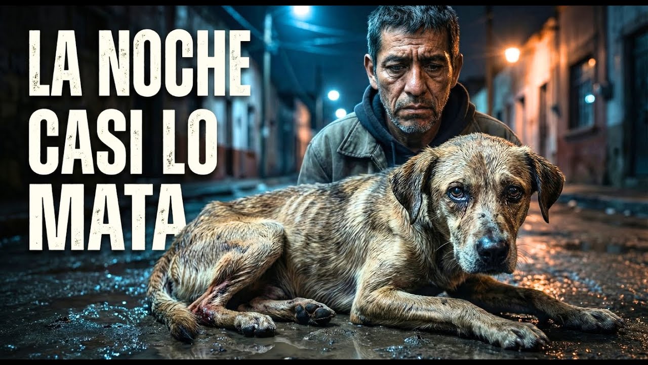 EL VETERINARIO MIRÓ AL CACHORRO Y PREGUNTÓ: “¿QUIÉN ESTUVO CON ÉL ANOCHE?”