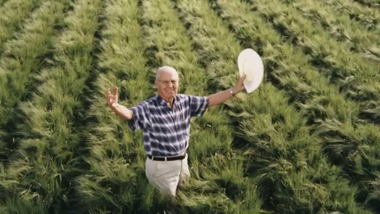 Image result for Dr. Norman Borlaug
