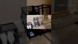 Messy Garage or Gym? This Ball Storage Rack Solves It Fast