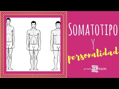 🔝 Somatotipo y