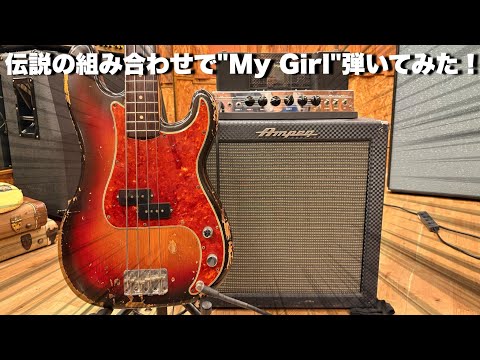 The legendary bass amp Ampeg15N