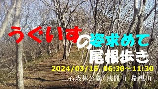 うぐいすの姿求めて尾根歩き　2024/03/15　三ッ石森林公園　浅間山　権現山往復