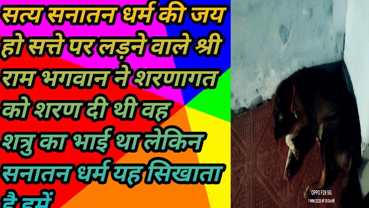 3 नवंबर 2025be someone's support @किसी का सहारा बने@ Sanatan Dharm ka Sahi karya