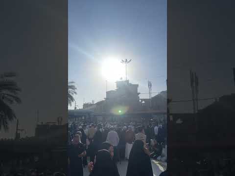 تعال نريدك