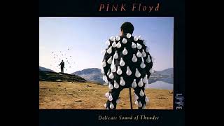 Download Lagu Pink Floyd 1988 Delicate Sound of Thunder album nr 14 MP3