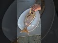 un PARGO de Conil etiqueta 🏷 amarilla 💛 el la brasa 🔥👌😋👇