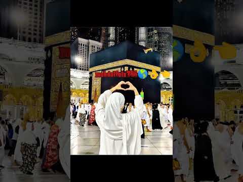    اكسبلور اغاني متابعه لايك تصميمي    