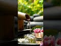Zen Garden Water Sounds 💧 Deep Relaxation #shorts