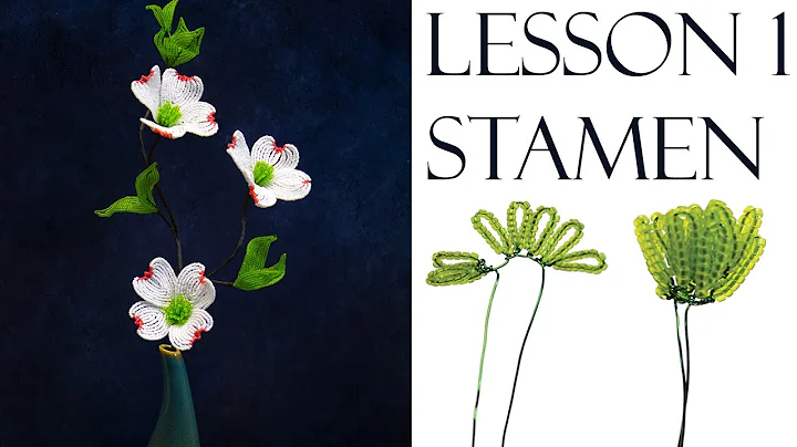 Lesson 1: Stamen French beaded flowering dogwood -...