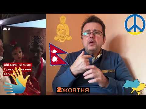 Узнайте об особенностях использования Sumo в российском сообществе