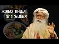 Правильный рацион питания здорового человека и вашего тела - Садхгуру на Русском