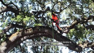 Zigzag Mecanique Pour Lélagage